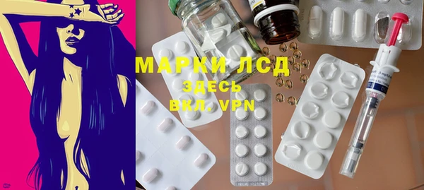 стафф Аркадак